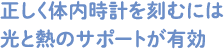 正しく体内時計を刻むには光と熱のサポートが有効