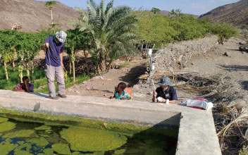 藻類を分析するためのサンプリング