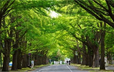 北海道大学