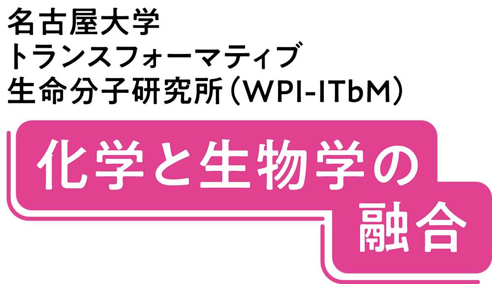名古屋大学 トランスフォーマティブ 生命分子研究所（WPI-ITbM）化学と生物学の融合