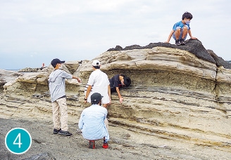 自然探究会で、溶岩の地層が顕わな城ヶ島海岸へ