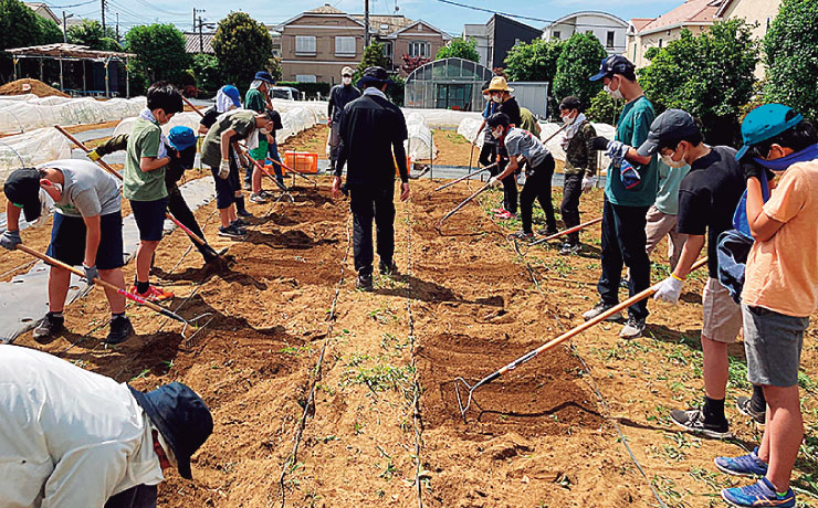 JA世田谷目黒のご協力により、トウモロコシや大根などの植え付けから収穫までを体験します