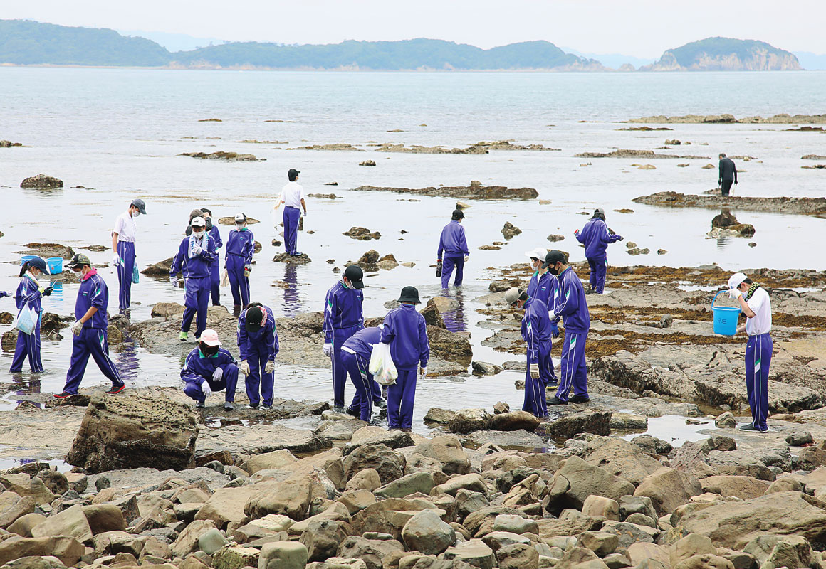 理科実習：和歌山県加太湾へ出向き、決められたテーマをもとに実験・発表する