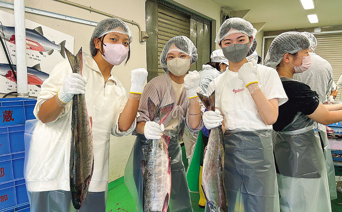 北海道自然体験研修では新巻鮭づくりを経験