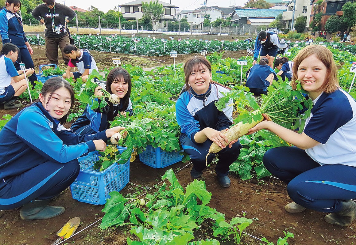 校内外3箇所にある畑では、園芸で生徒が育てた野菜が瑞々しい香りをはなつ