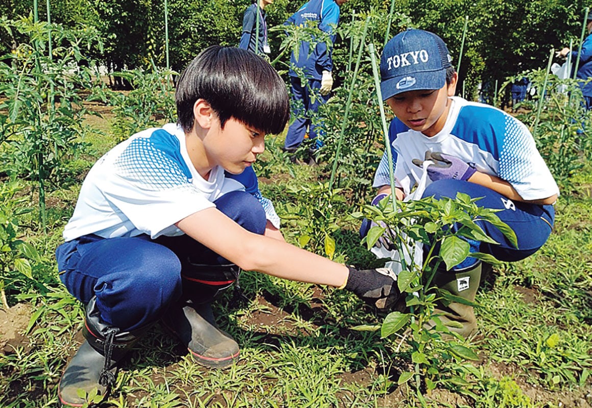 中学1年生と2年生は農業体験が必修