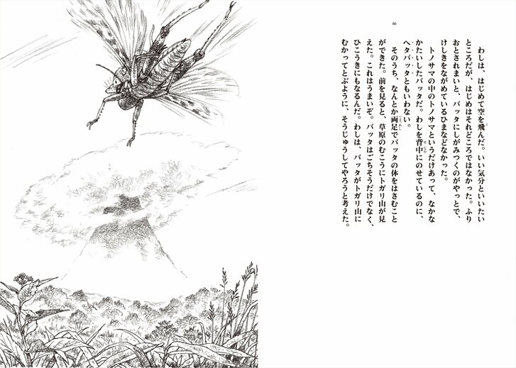 『トガリ山のぼうけん(1) 風の草原』新装版(いわむらかずお 文・絵/理論社 刊)