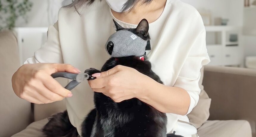 猫の爪を切るときに猫がおとなしくなる「猫マスク」というグッズも登場（提供：クロス・クローバー・ジャパン）