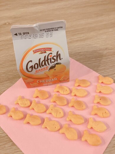 Gold fish
