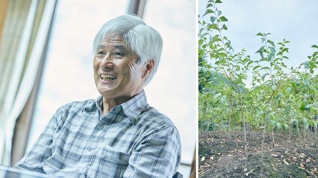 道下隆司さん（左）。道下さんが自宅の畑で育てている荘川桜の苗木（右）