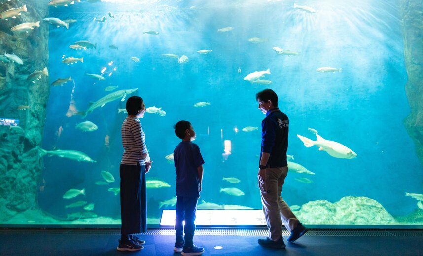 淡水大水槽では、サケのほか、幻の魚ともいわれるイトウやチョウザメの仲間も。「悠々と泳いでいるね！」