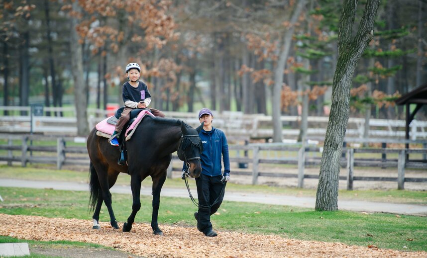 馬の体高は品種にもよりますが、パークの乗馬体験で活躍する馬たちは約160㎝前後。「思ったよりずっと高い!」